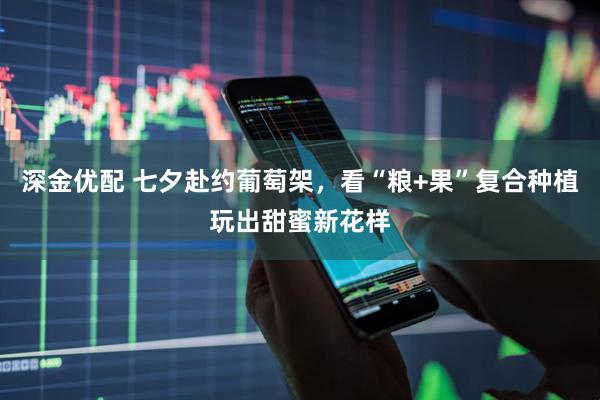 深金优配 七夕赴约葡萄架，看“粮+果”复合种植玩出甜蜜新花样