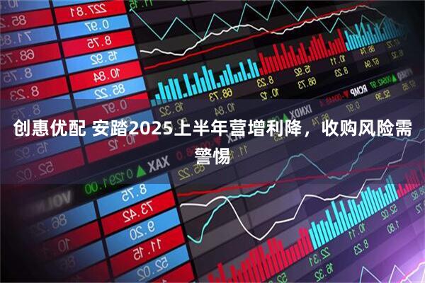 创惠优配 安踏2025上半年营增利降，收购风险需警惕