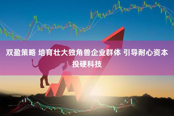 双盈策略 培育壮大独角兽企业群体 引导耐心资本投硬科技