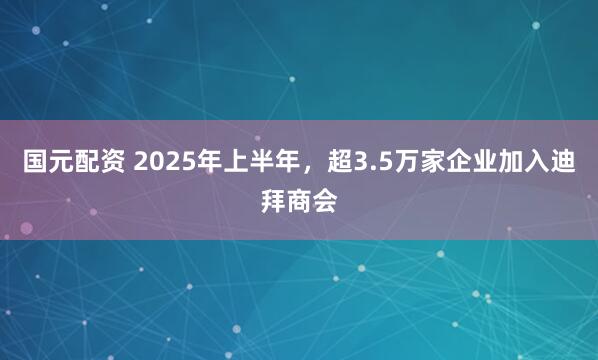 国元配资 2025年上半年，超3.5万家企业加入迪拜商会