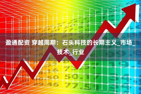 盈通配资 穿越周期:石头科技的长期主义_市场_技术_行业